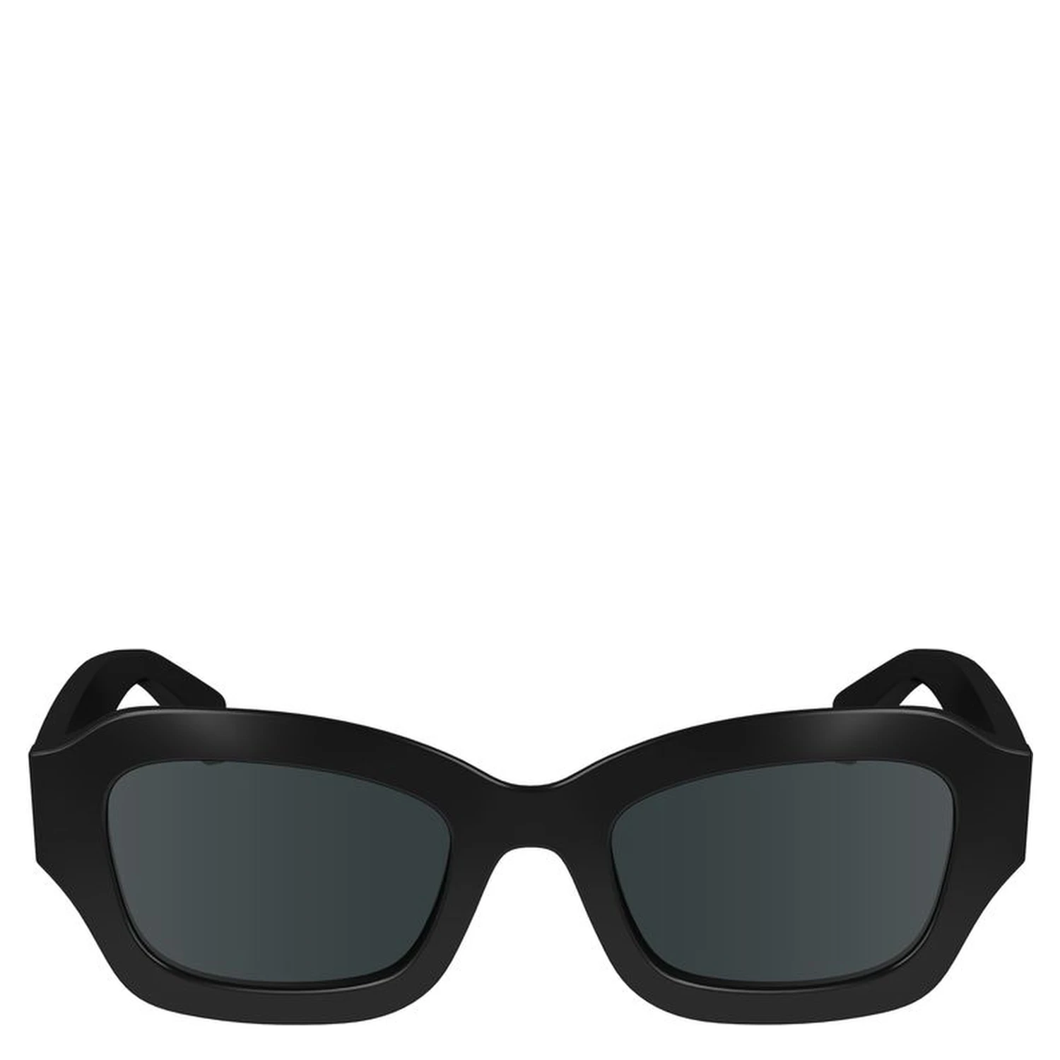 Black Acetate Sunglasses