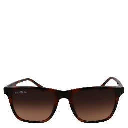 Brown Injected Sunglasses
