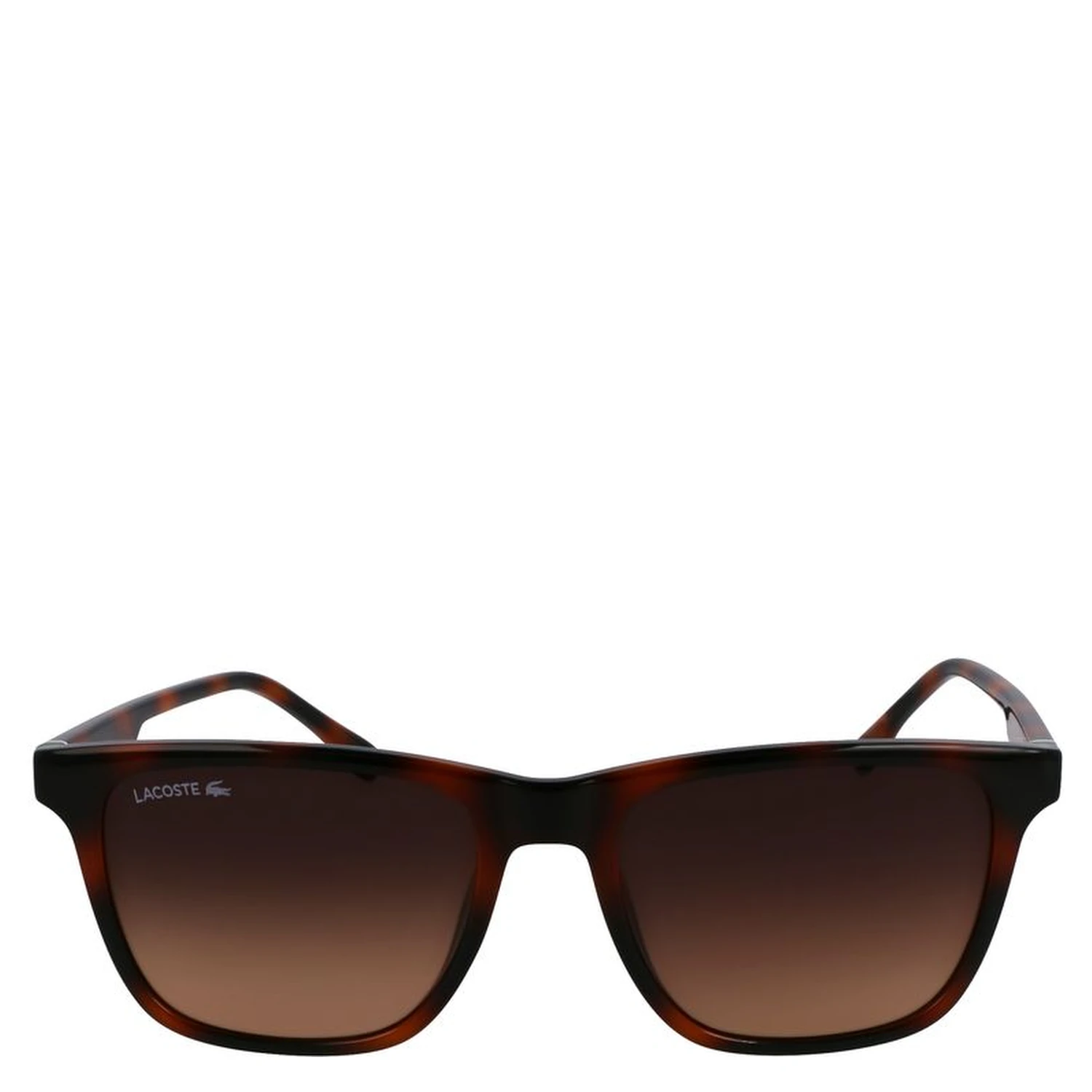 Brown Injected Sunglasses