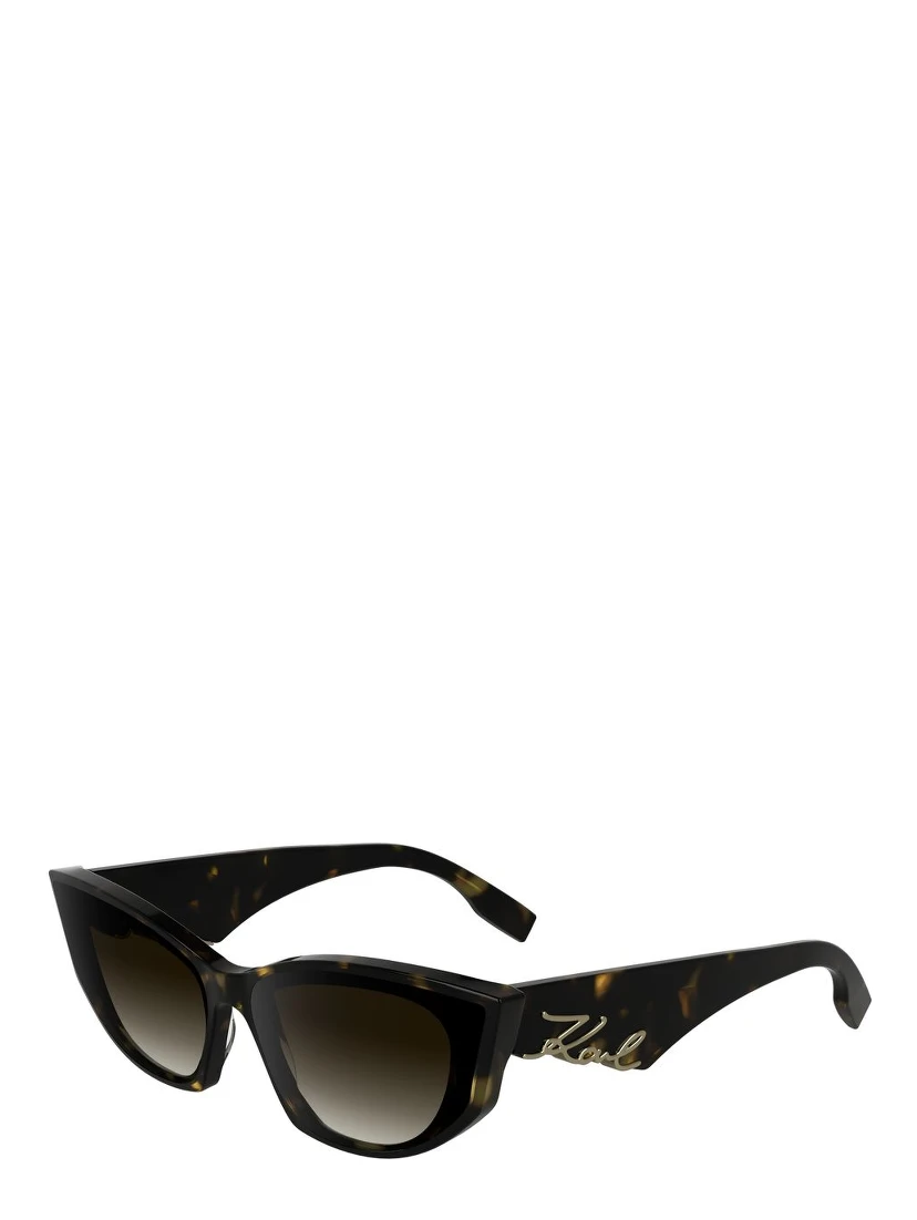 Black Acetate Sunglasses