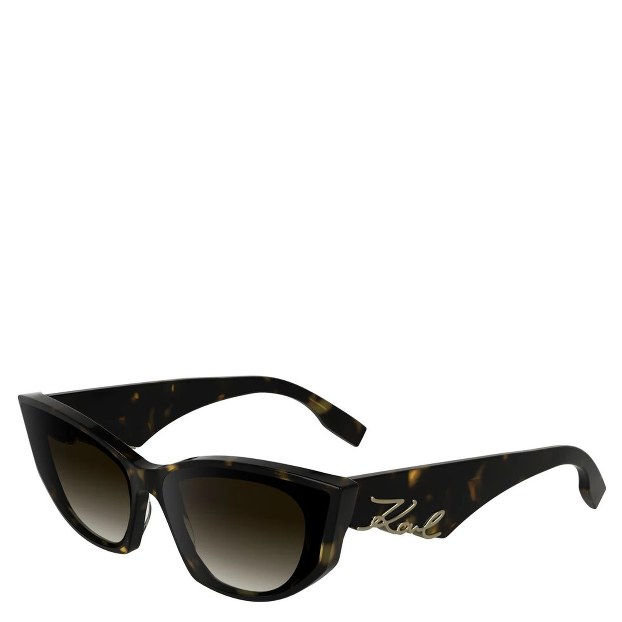Black Acetate Sunglasses