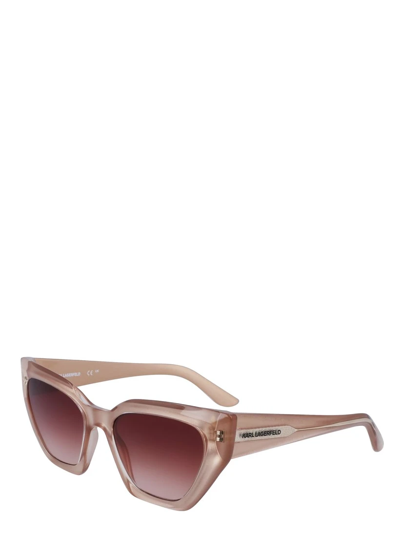 Brown Injected Sunglasses