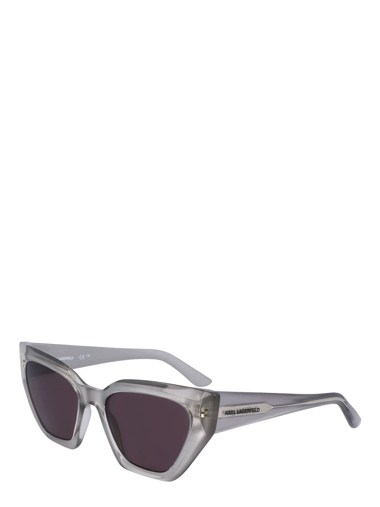 Gray Injected Sunglasses
