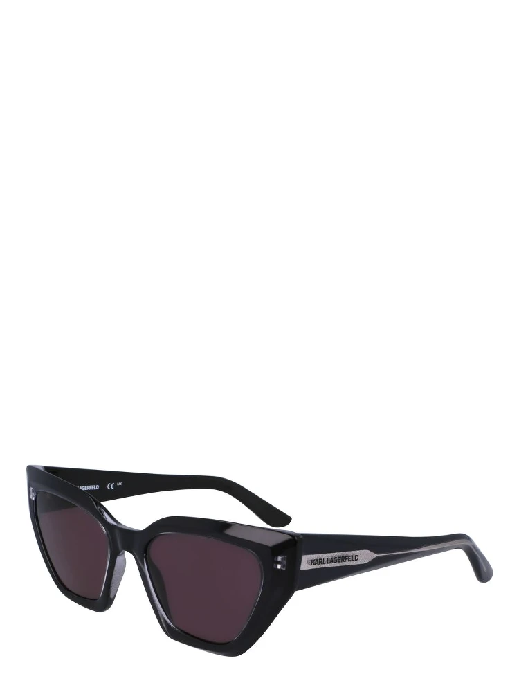 Black Injected Sunglasses