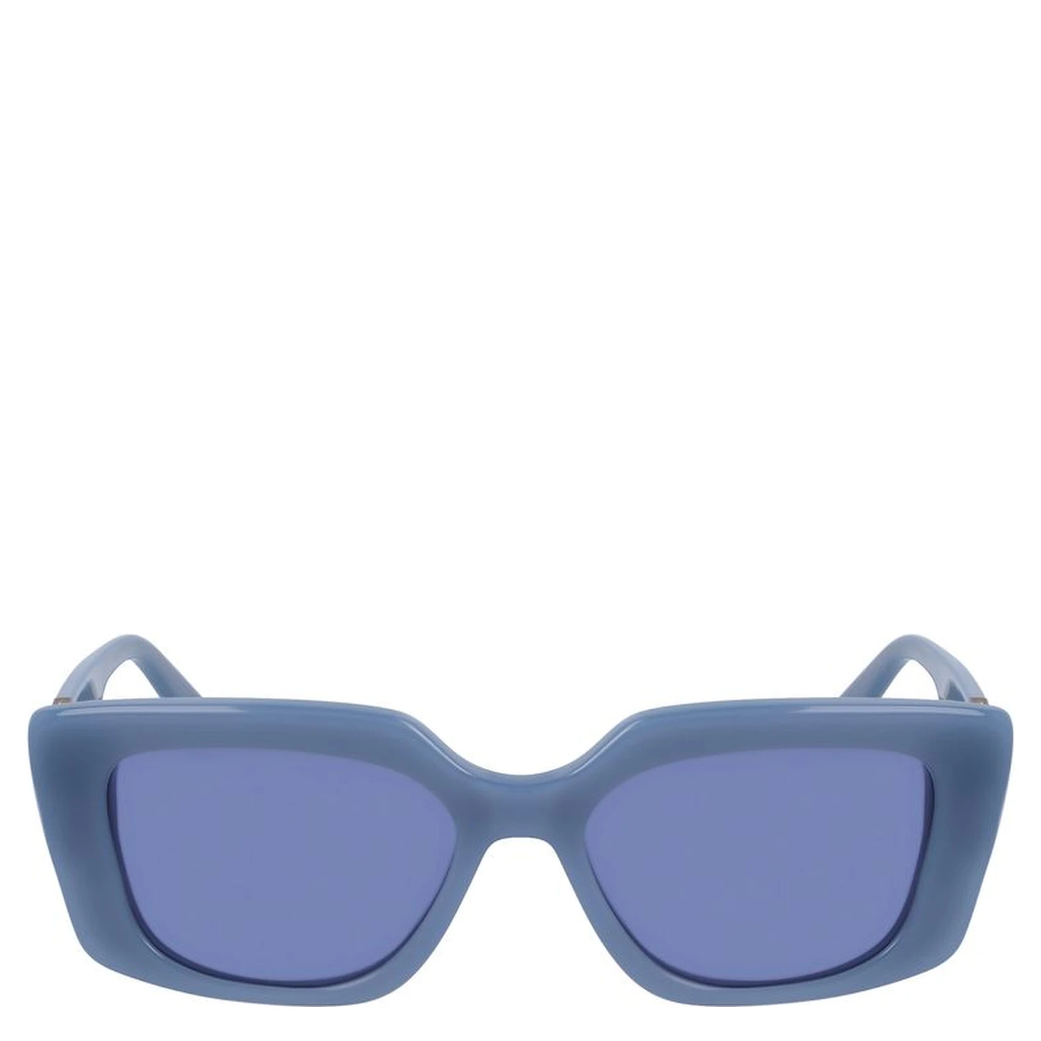 Blue Acetate Sunglasses