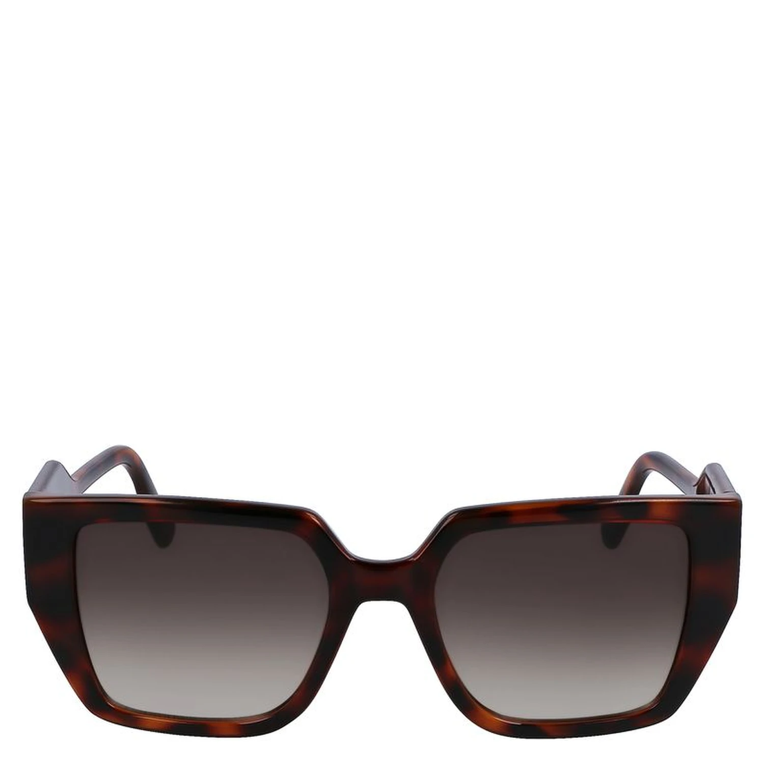 Brown Injected Sunglasses