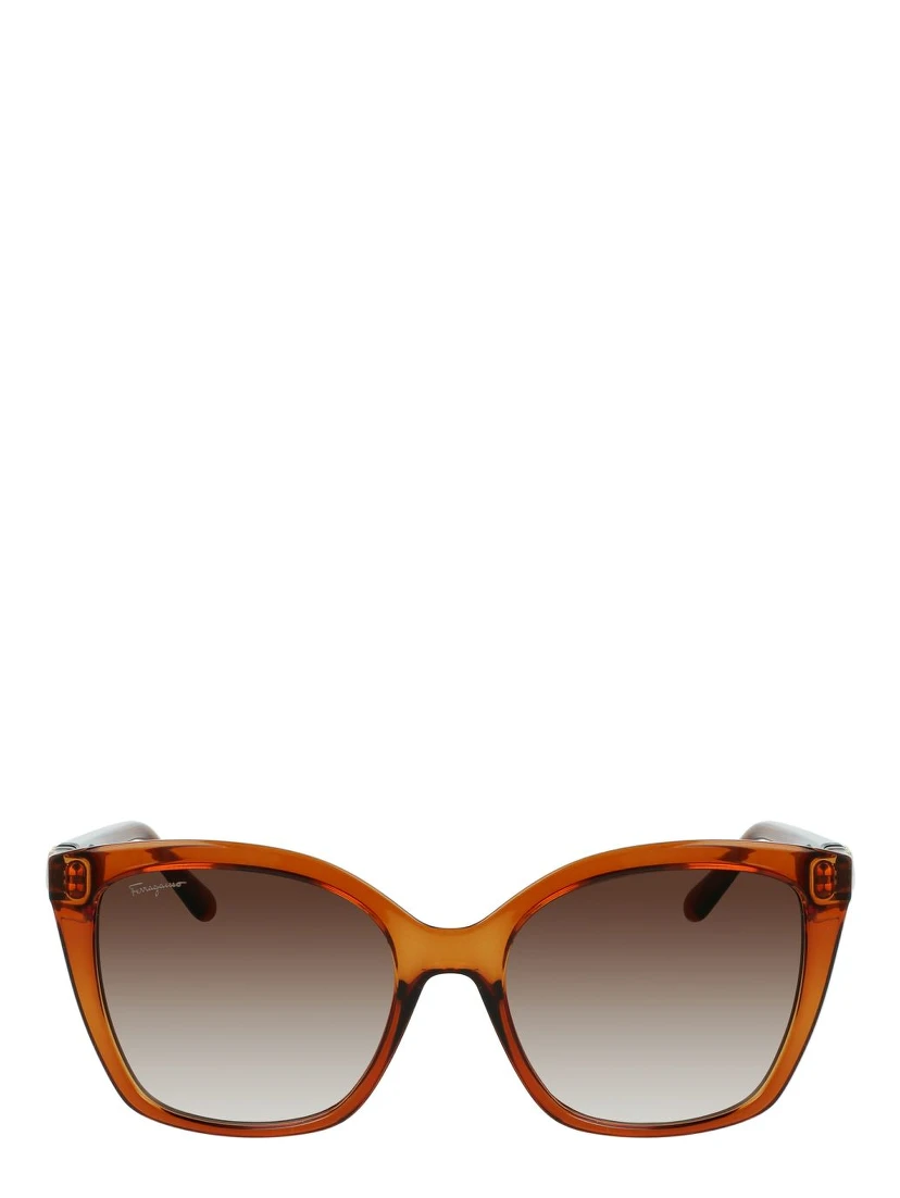 Brown Injected Sunglasses