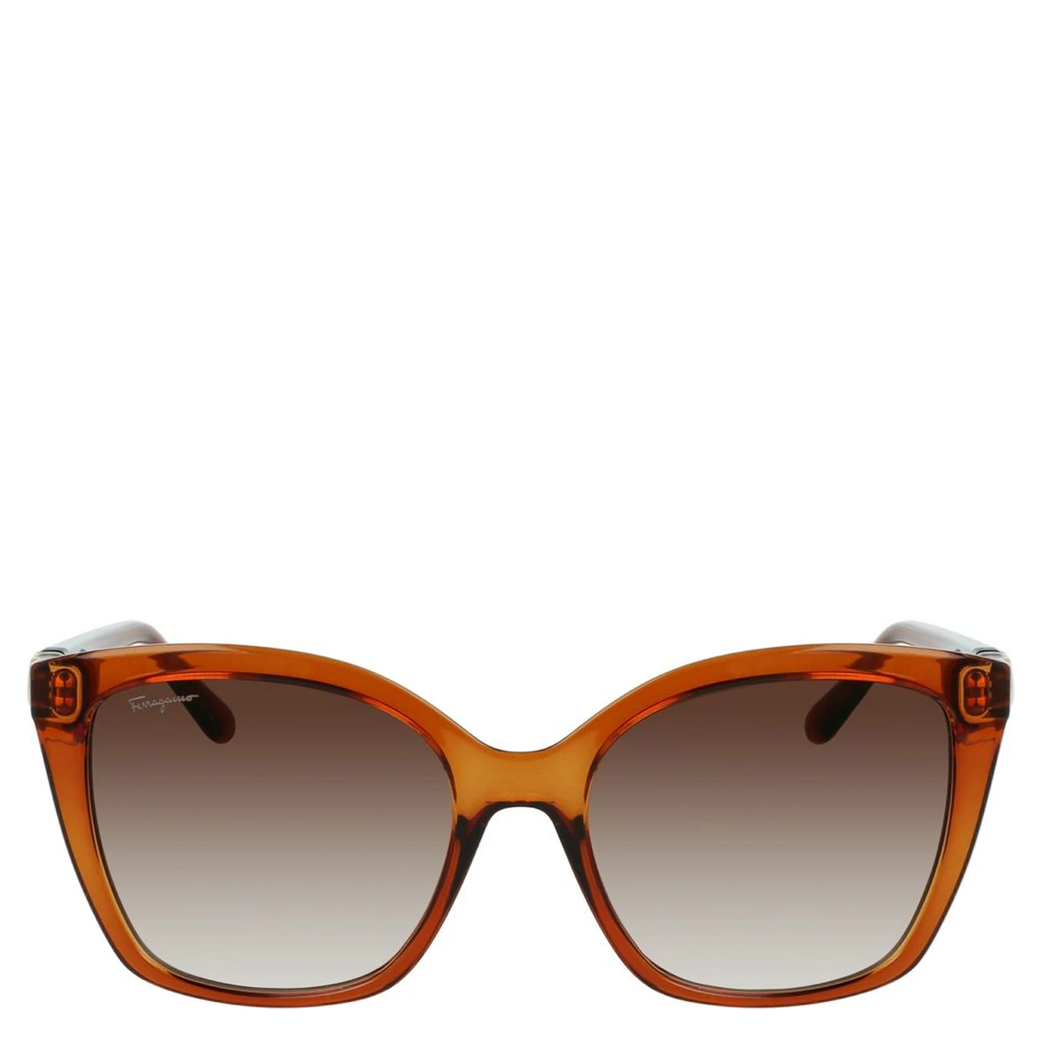 Brown Injected Sunglasses