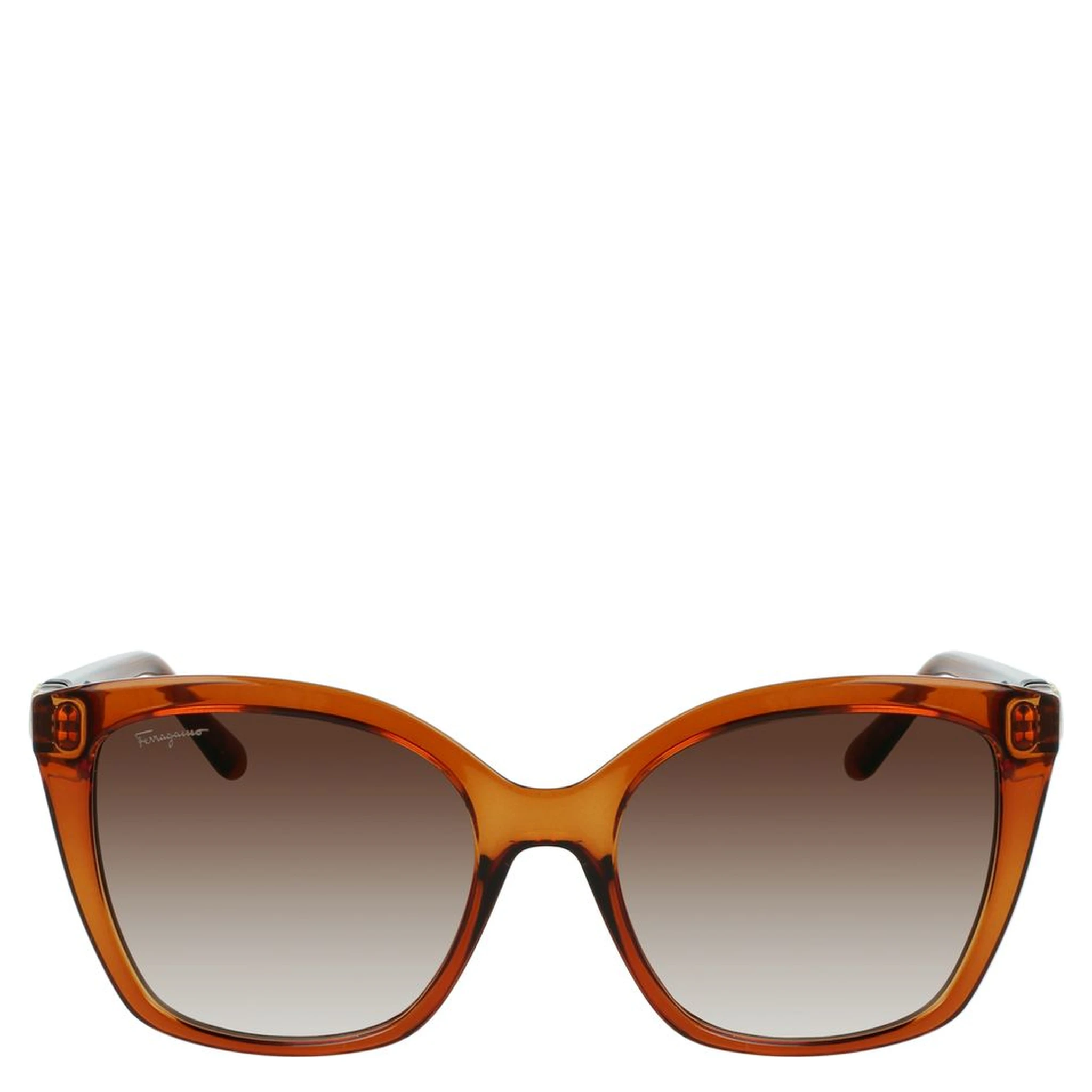 Brown Injected Sunglasses