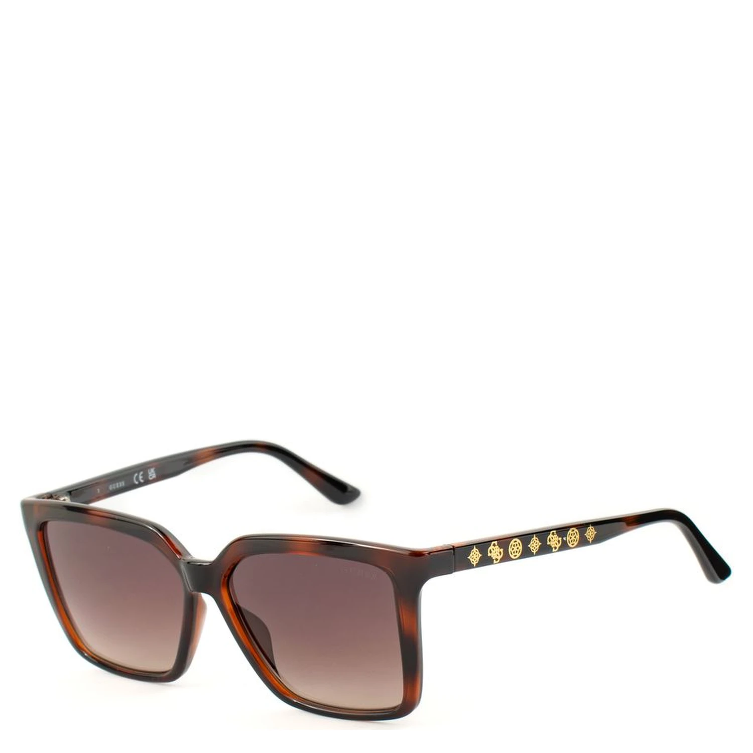 Brown Resin Sunglasses