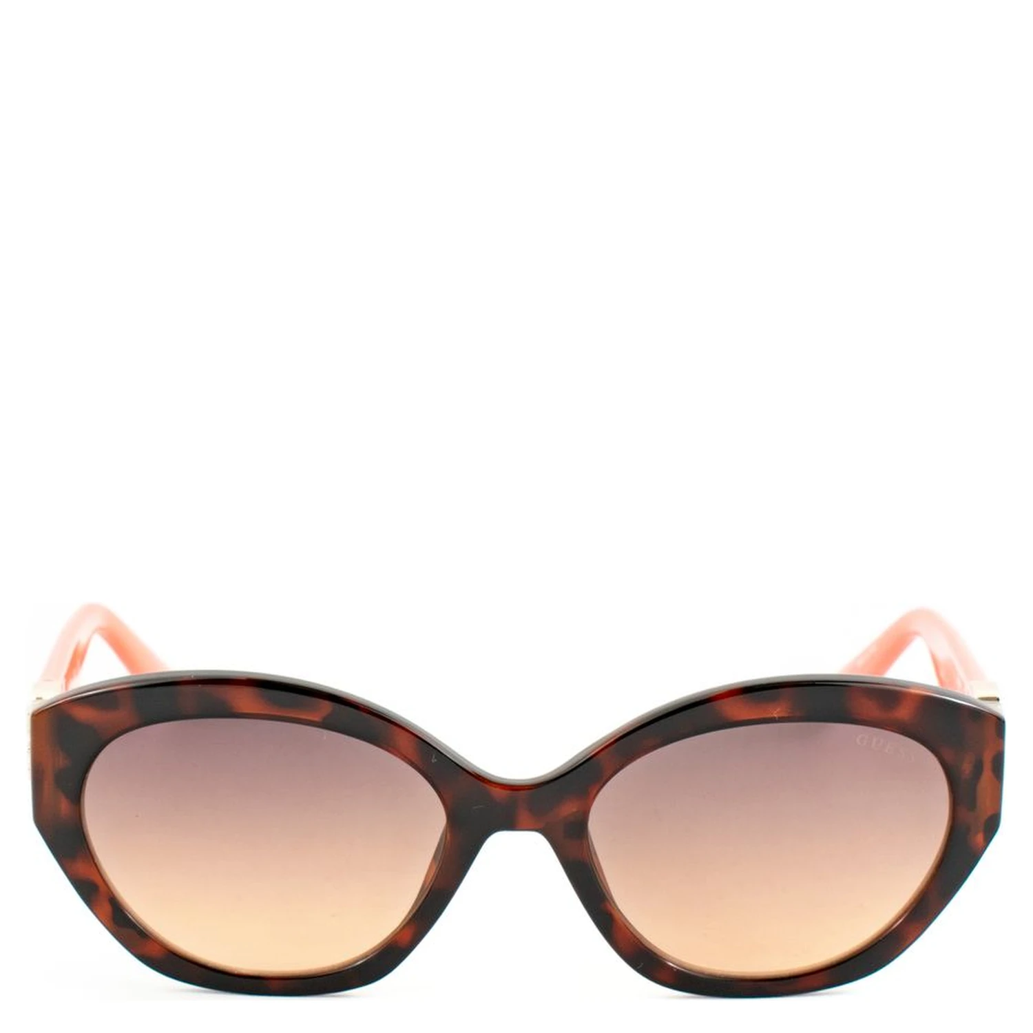 Brown Resin Sunglasses