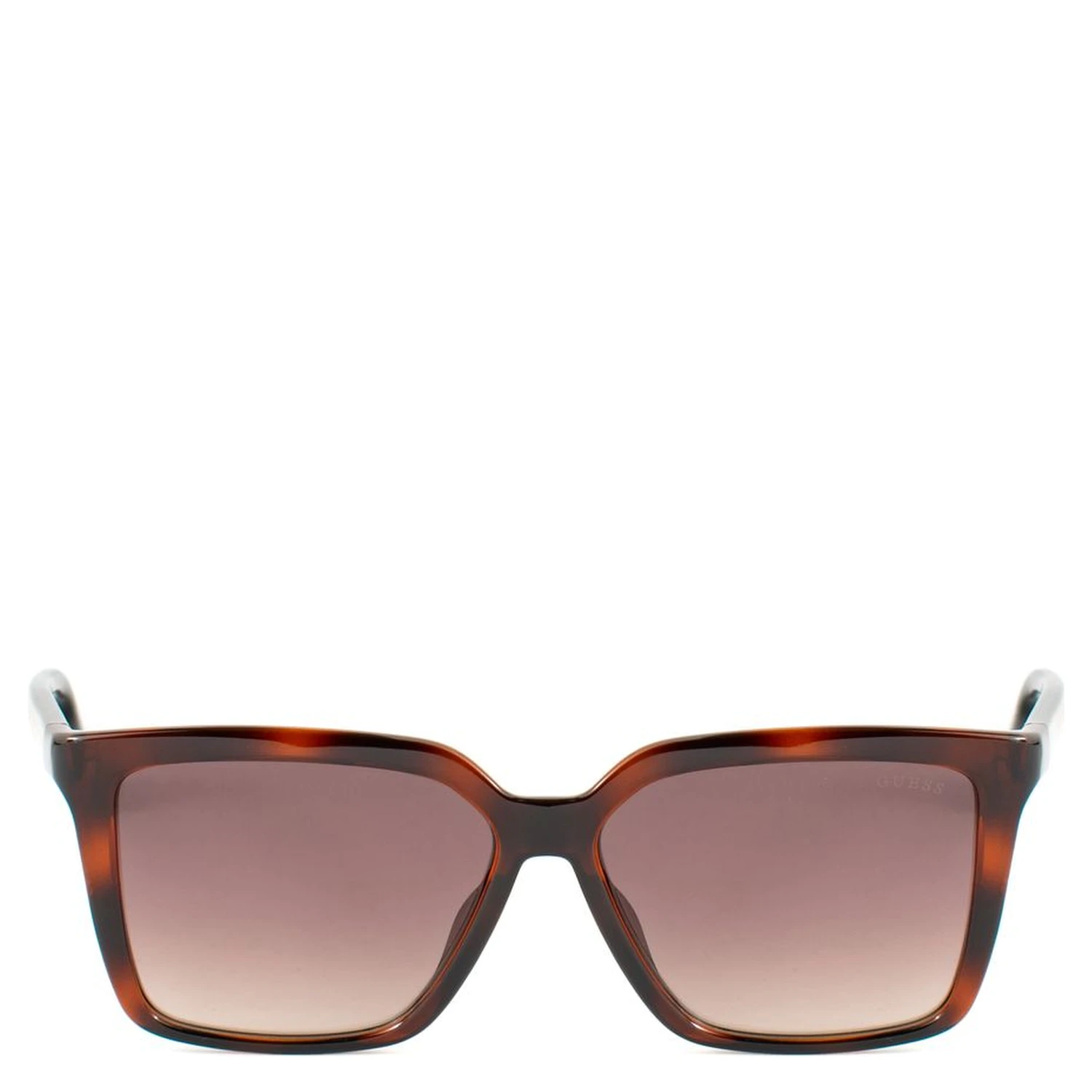 Brown Resin Sunglasses