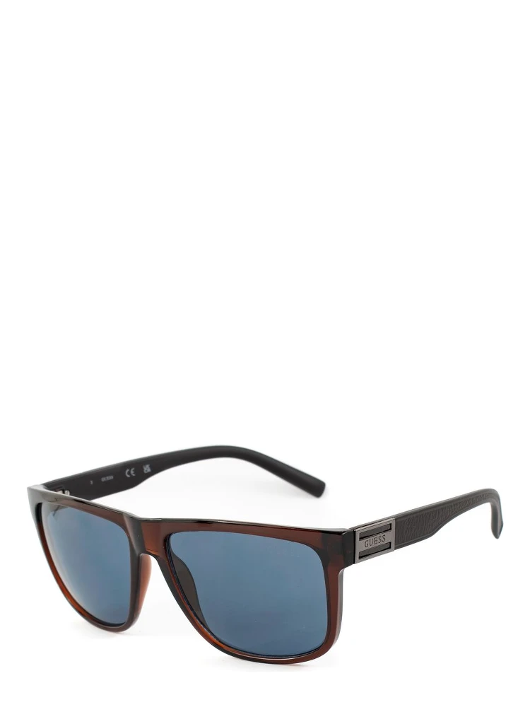Brown Resin Sunglasses