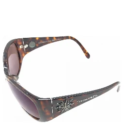 Oval-Shaped Brown Sunglasses
