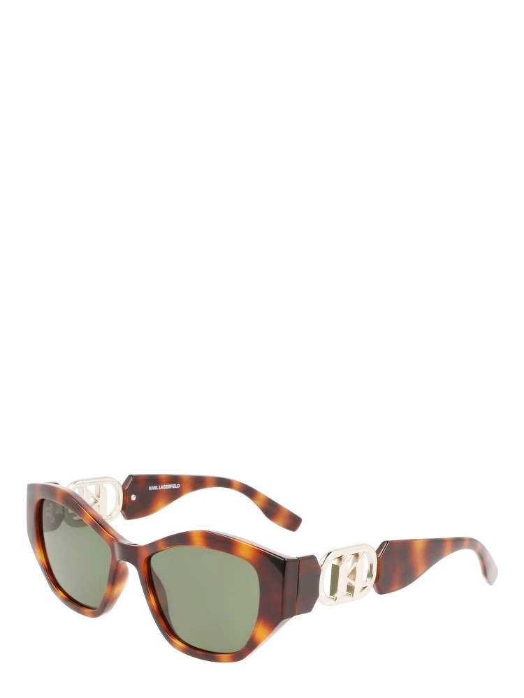 Brown Injected Sunglasses