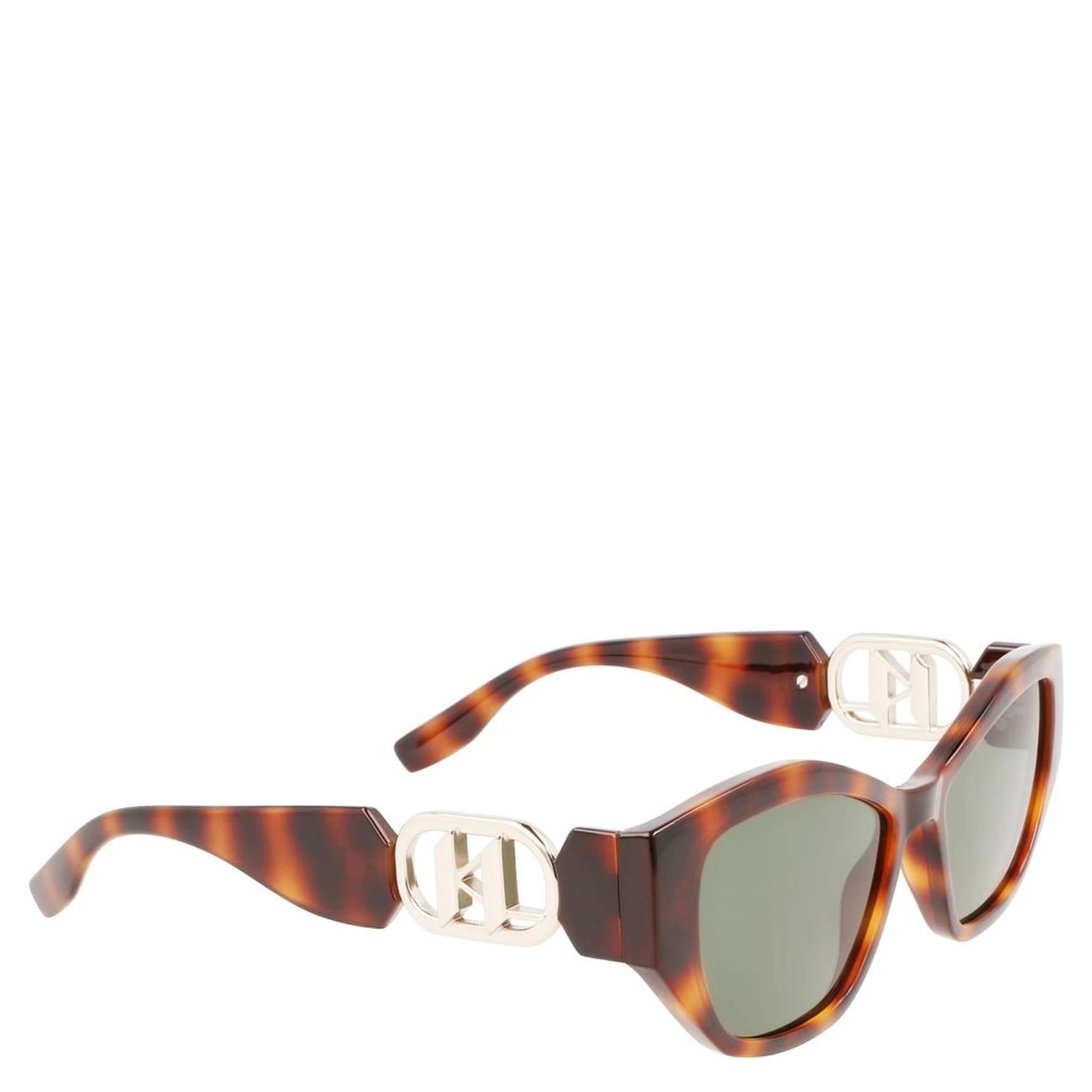 Brown Injected Sunglasses