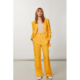 Orange Viscose Casual Pants