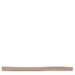 أحزمة فالنتينو غارافاني