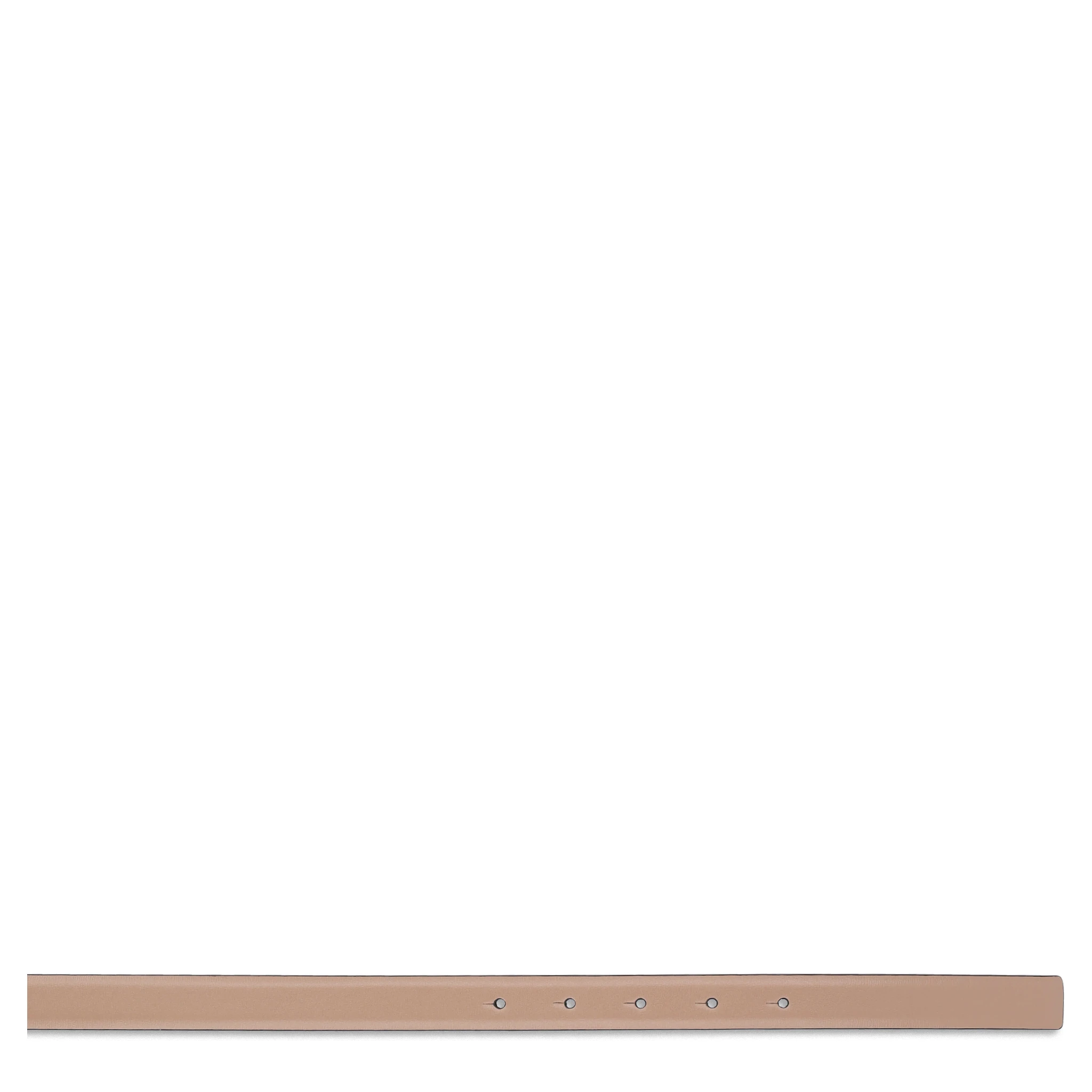 أحزمة فالنتينو غارافاني