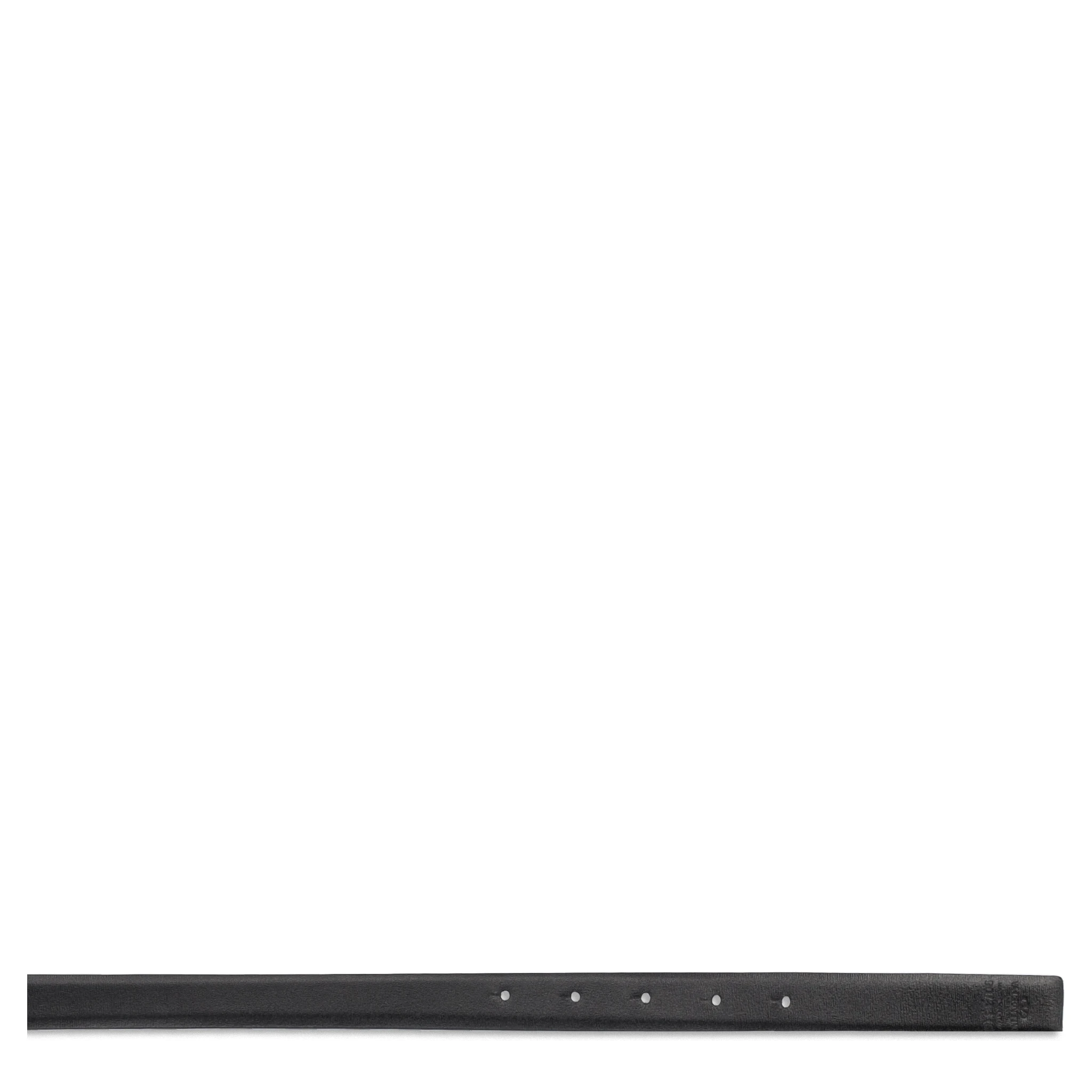 أحزمة فالنتينو غارافاني