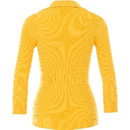 Elisabetta Franchi Sweaters Yellow