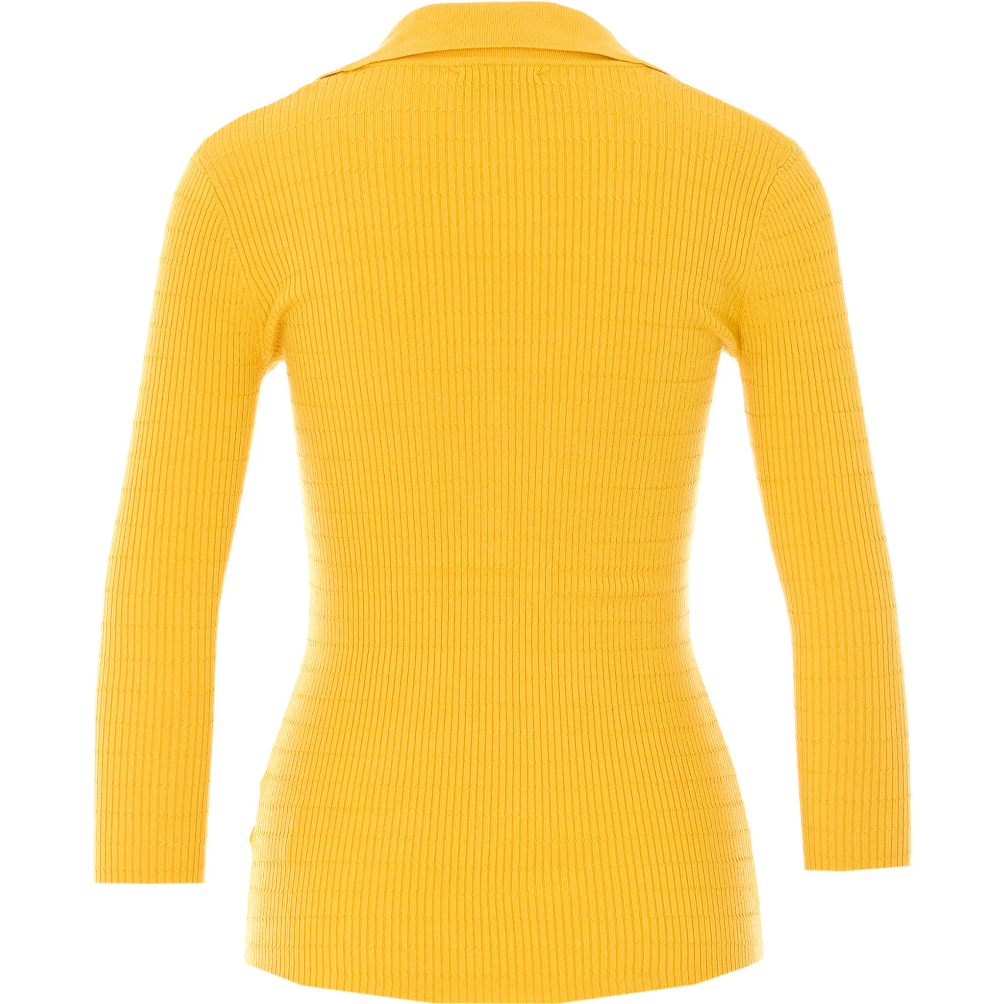 Elisabetta Franchi Sweaters Yellow