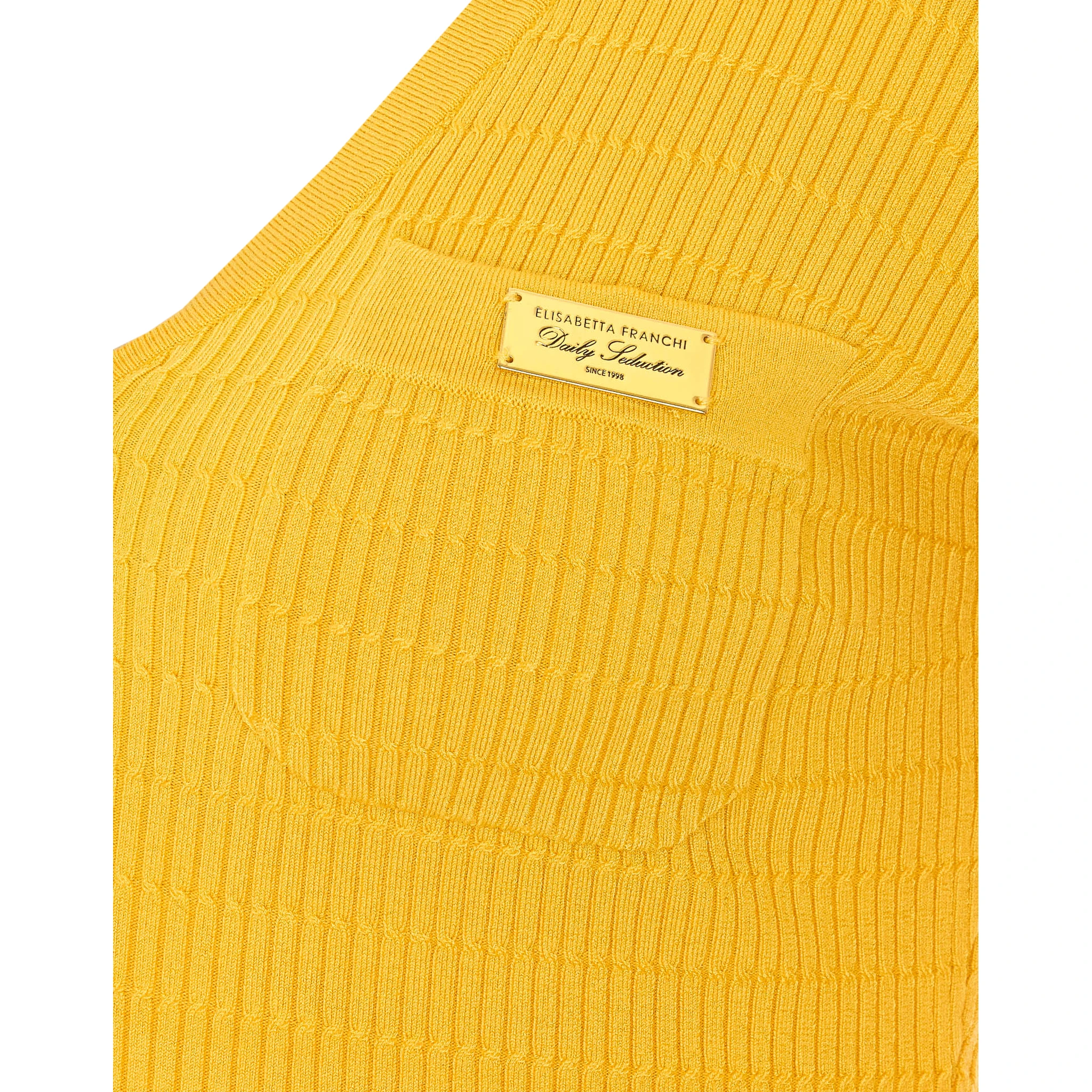 Elisabetta Franchi Sweaters Yellow