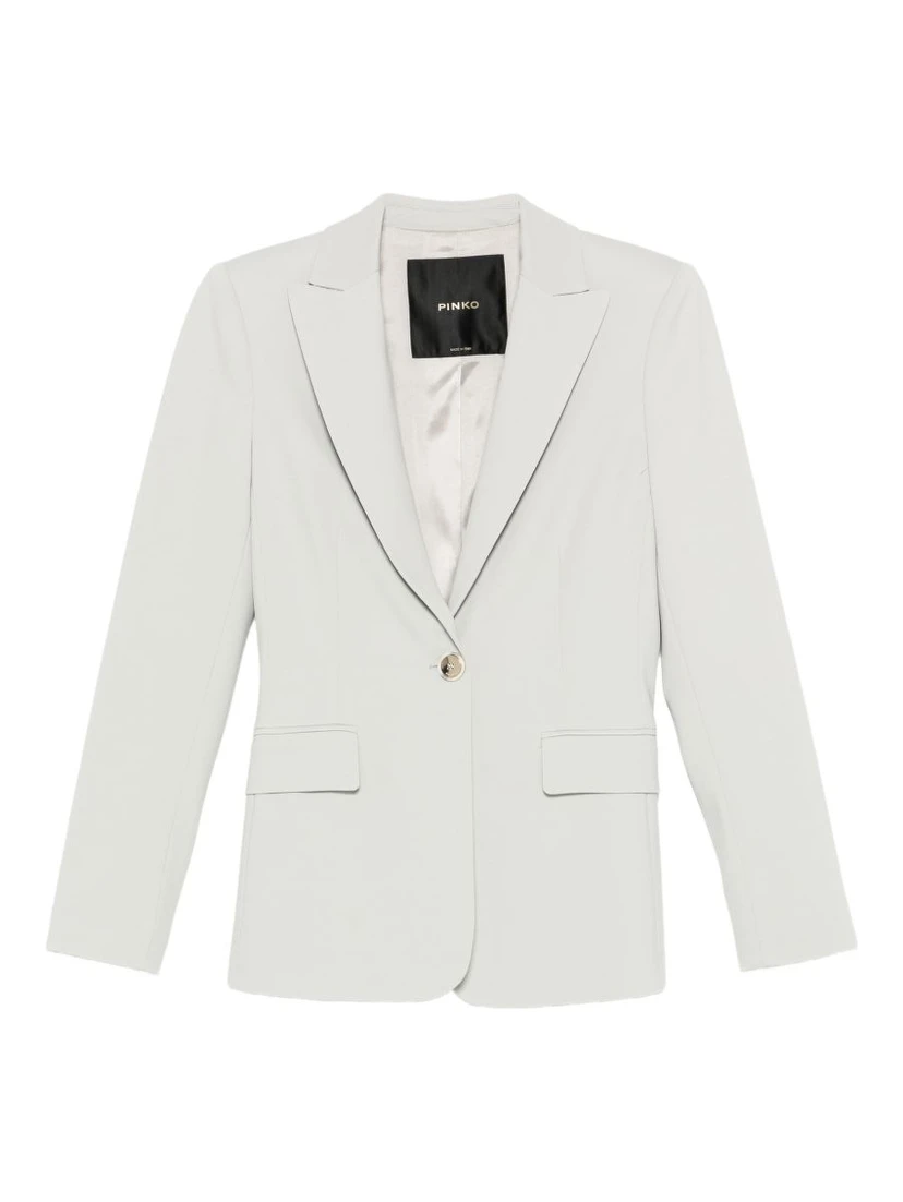Pinko Jackets Grey
