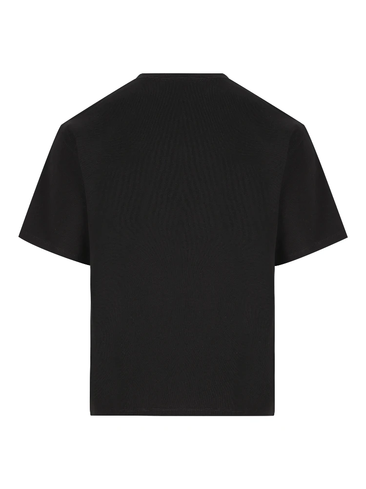 سان لوران alternative