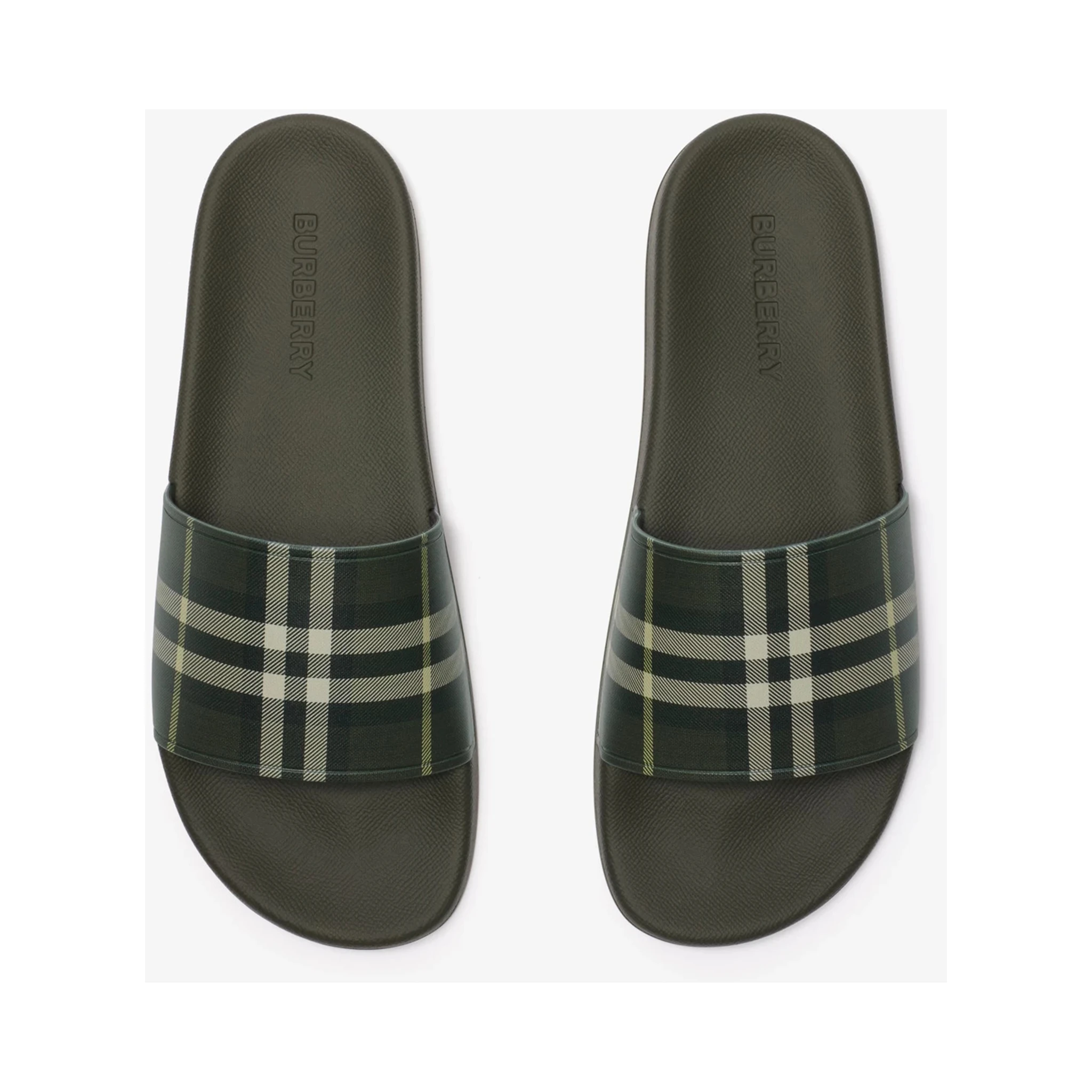 صندل بربري أخضر