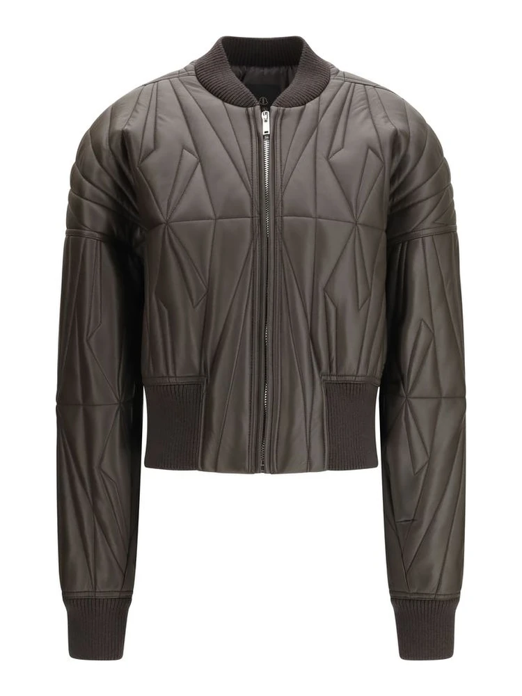 خروف بني Ovis Aries Aries Bomber