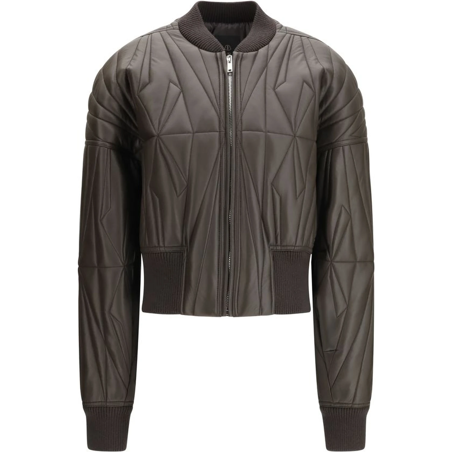 Brown Lamb Ovis Aries Aries Bomber