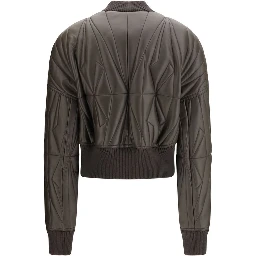 خروف بني Ovis Aries Aries Bomber