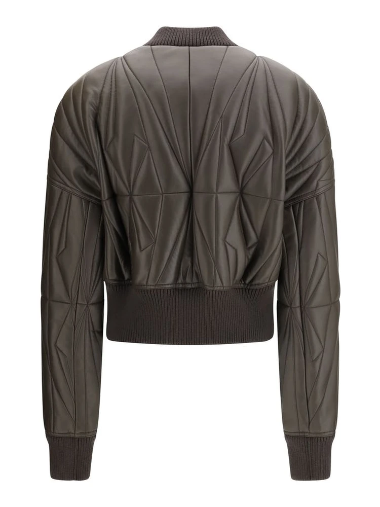 خروف بني Ovis Aries Aries Bomber alternative