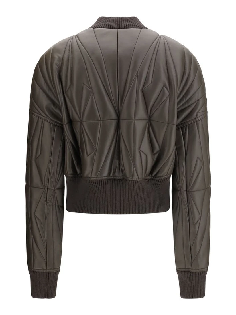 خروف بني Ovis Aries Aries Bomber