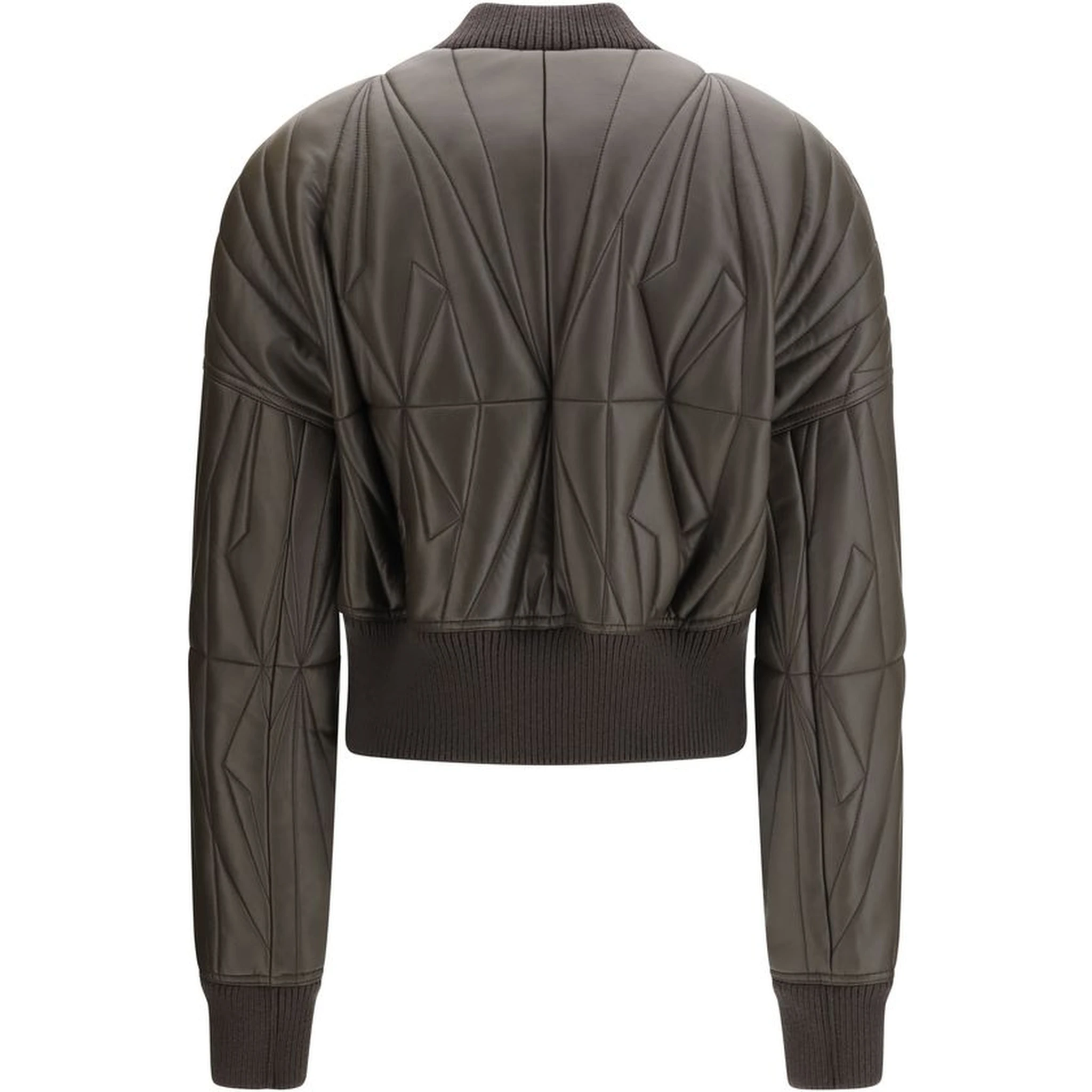 خروف بني Ovis Aries Aries Bomber