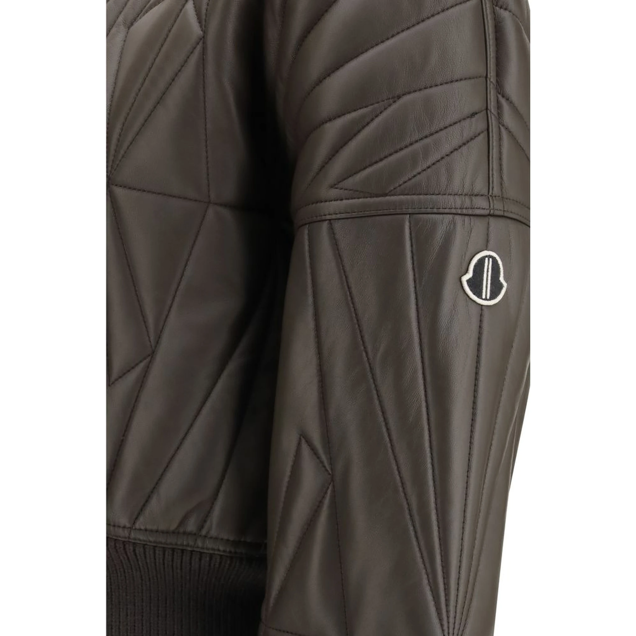 خروف بني Ovis Aries Aries Bomber