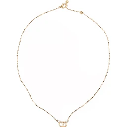 فالنتينو غارافاني بيجوكس الذهبي