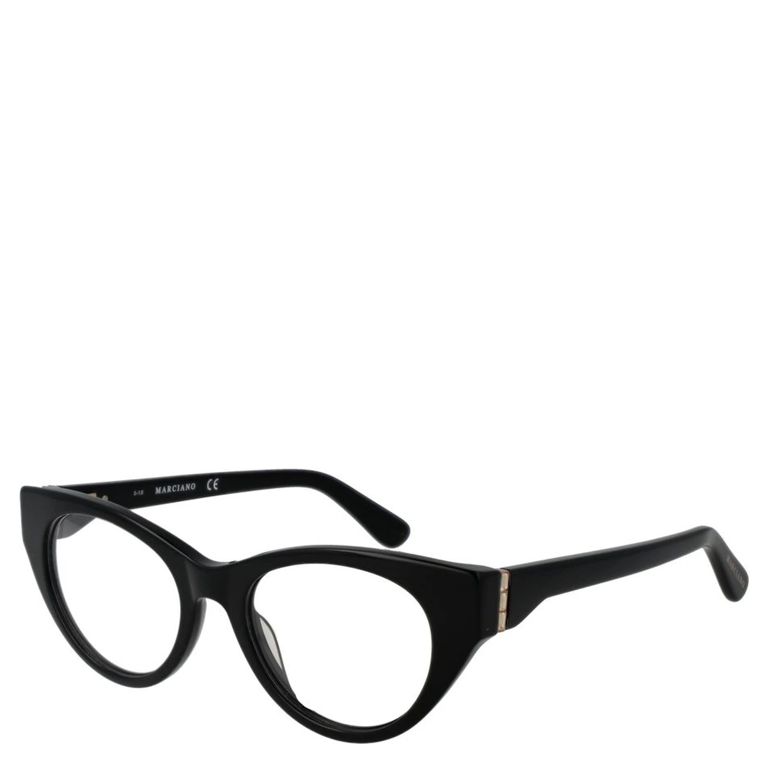 Black Plastic Glasses (Frames)