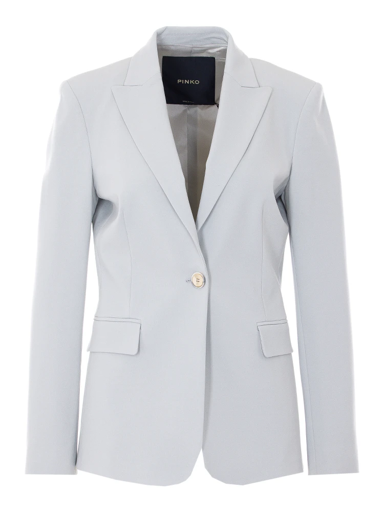 Pinko Jackets Grey