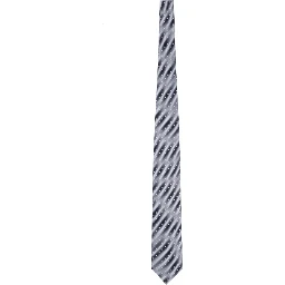PRINTED SILK TIE