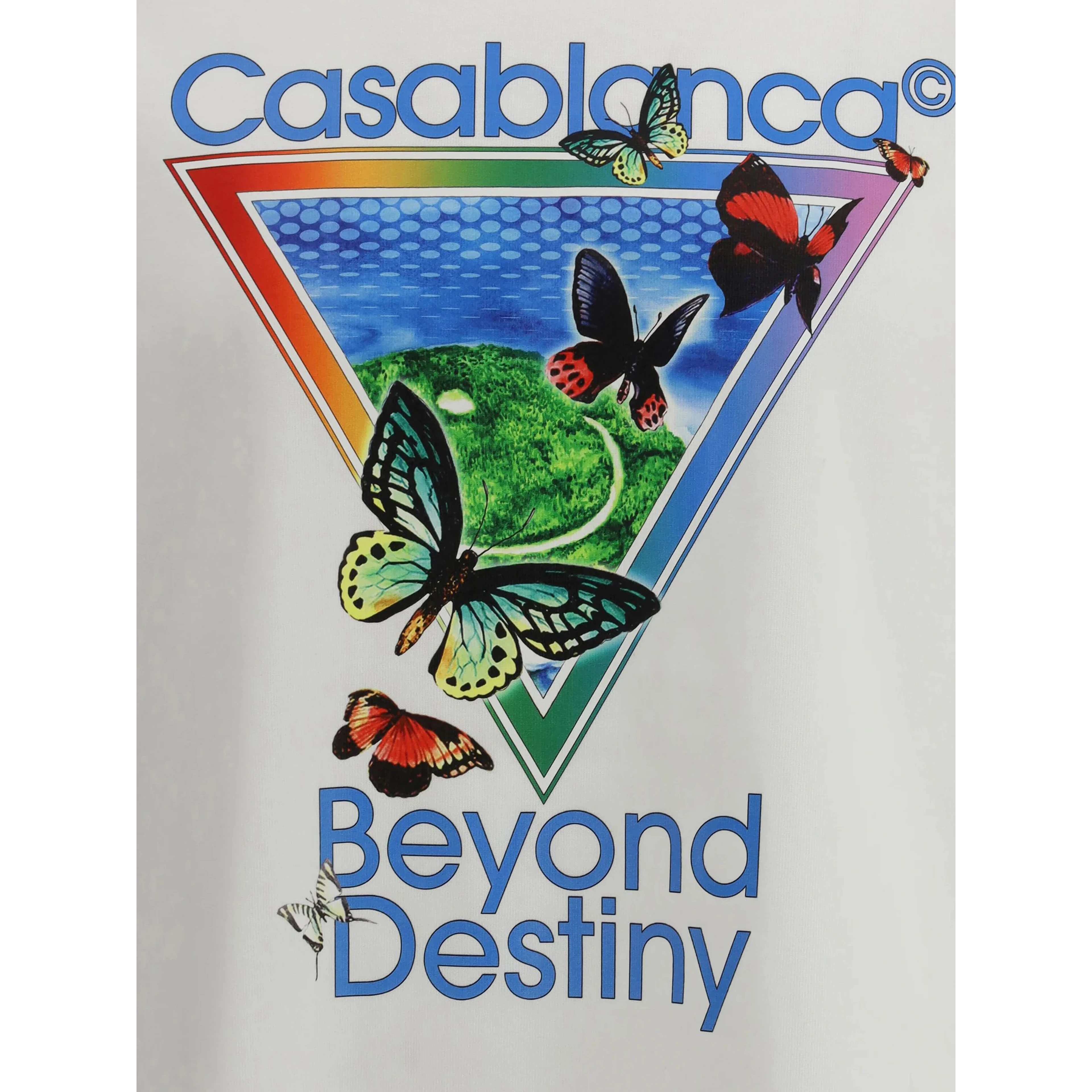Beyond Destiny print T-shirt