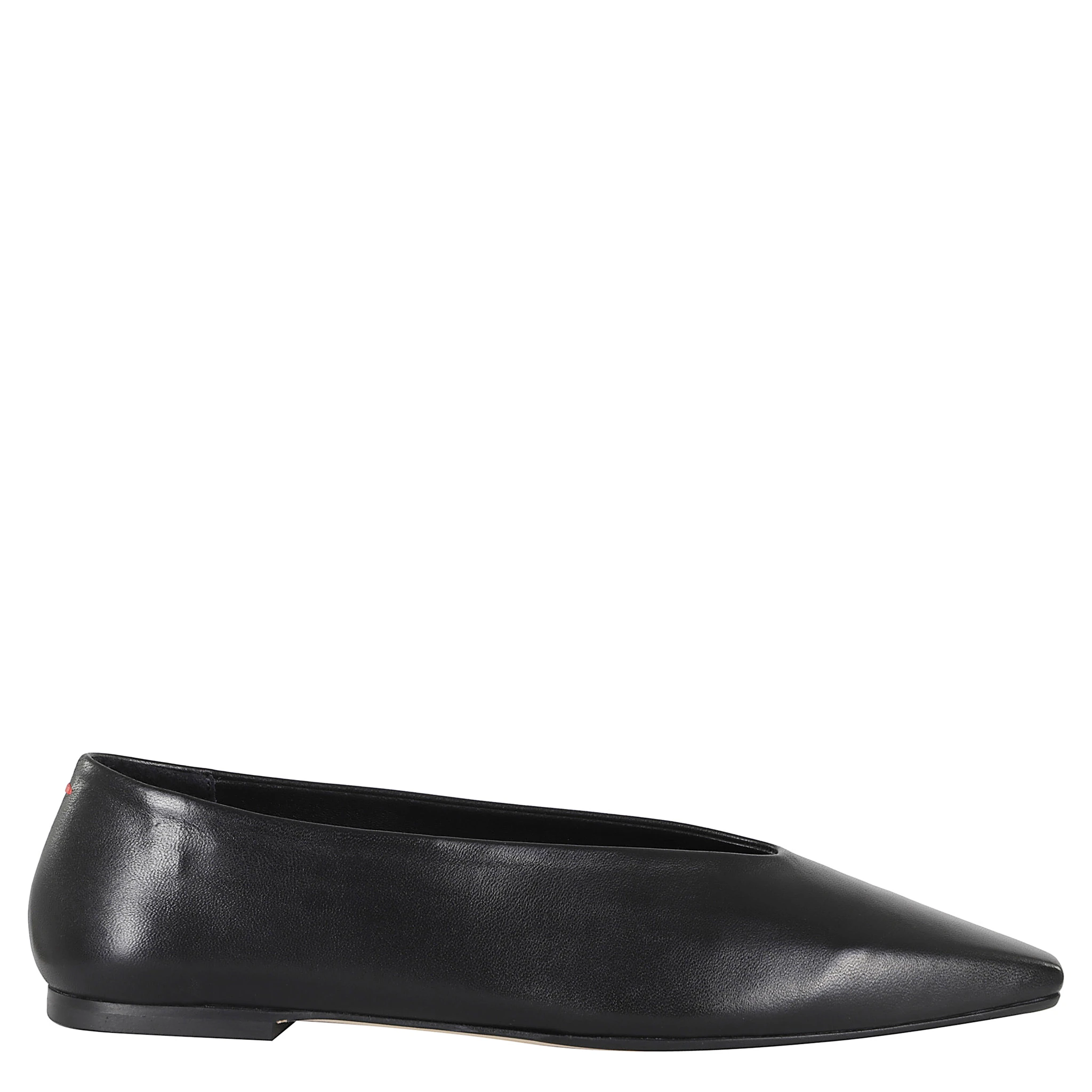 جلد نابا بيتي