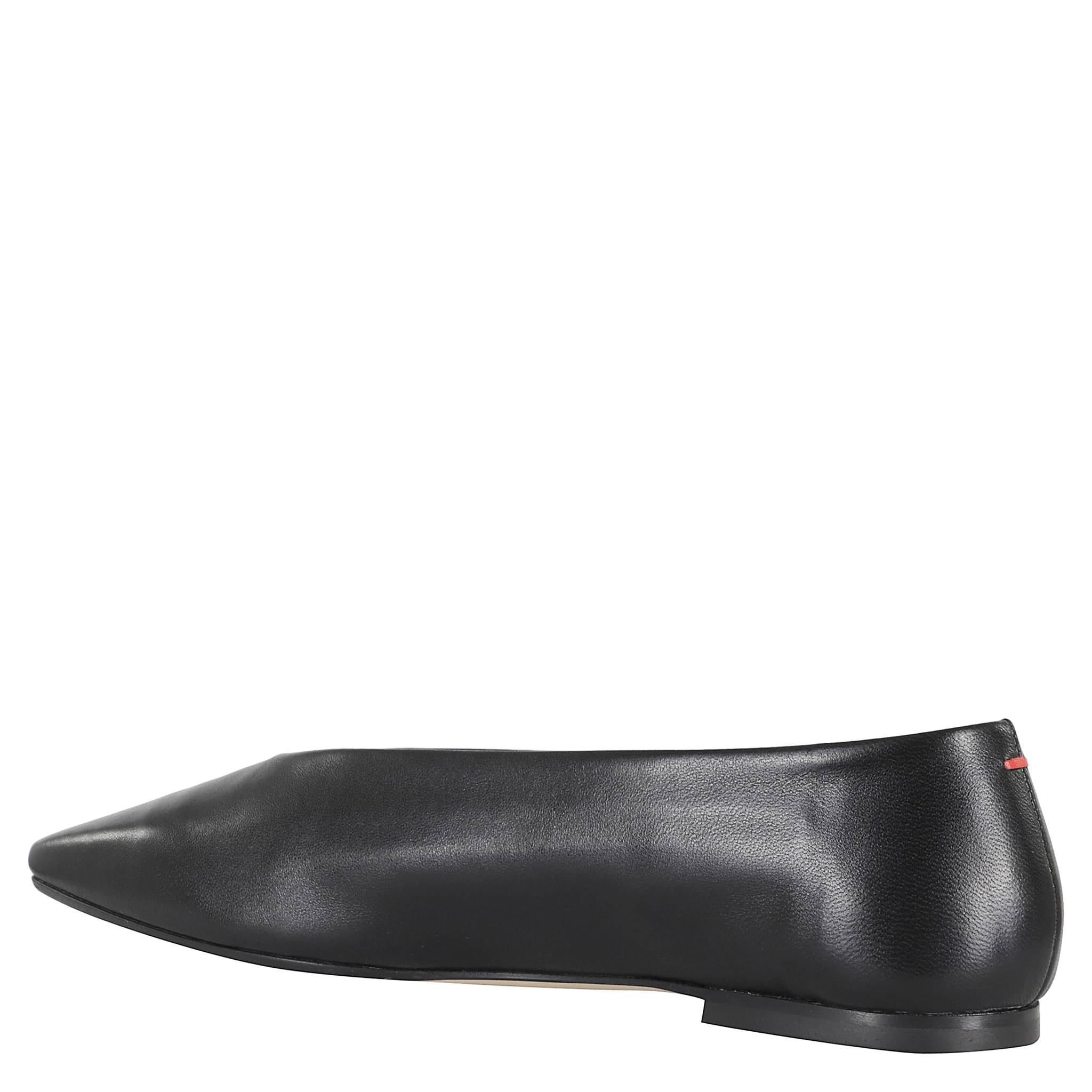 جلد نابا بيتي