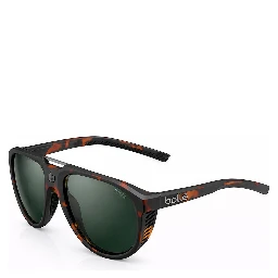 Brown Nylon Sunglasses