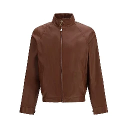 خروف بني Ovis Aries Aries Bomber