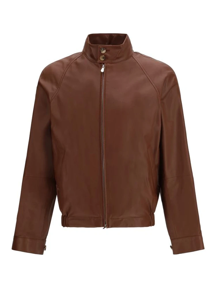 خروف بني Ovis Aries Aries Bomber