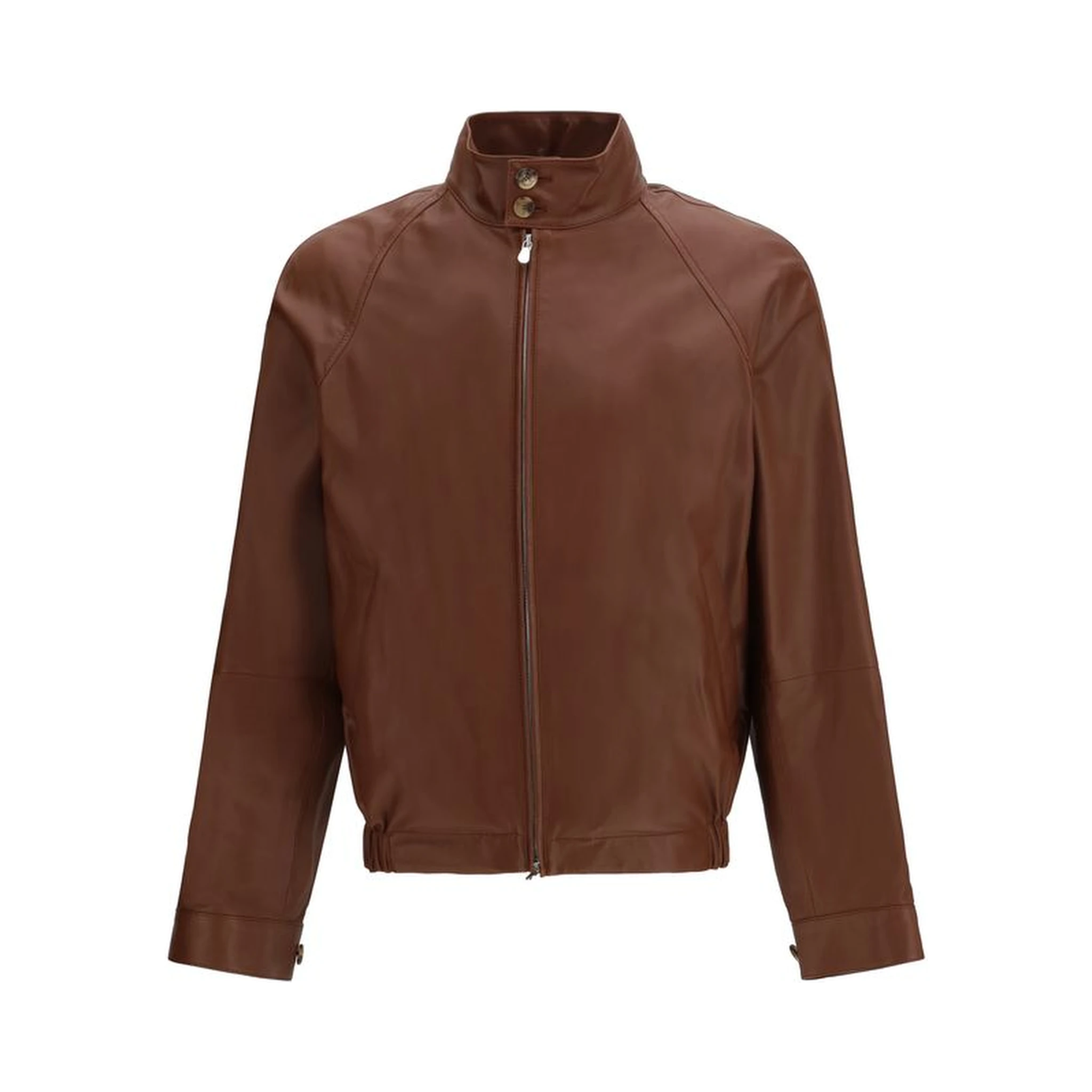 خروف بني Ovis Aries Aries Bomber