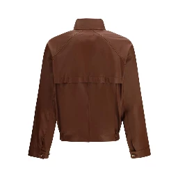 خروف بني Ovis Aries Aries Bomber