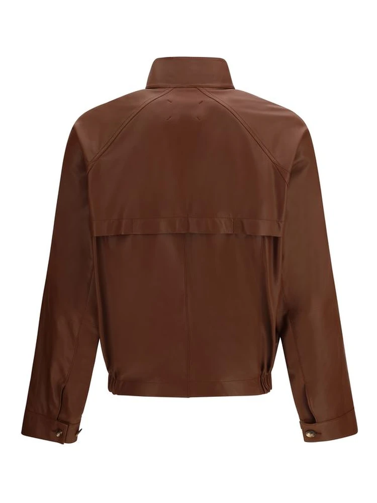 خروف بني Ovis Aries Aries Bomber alternative